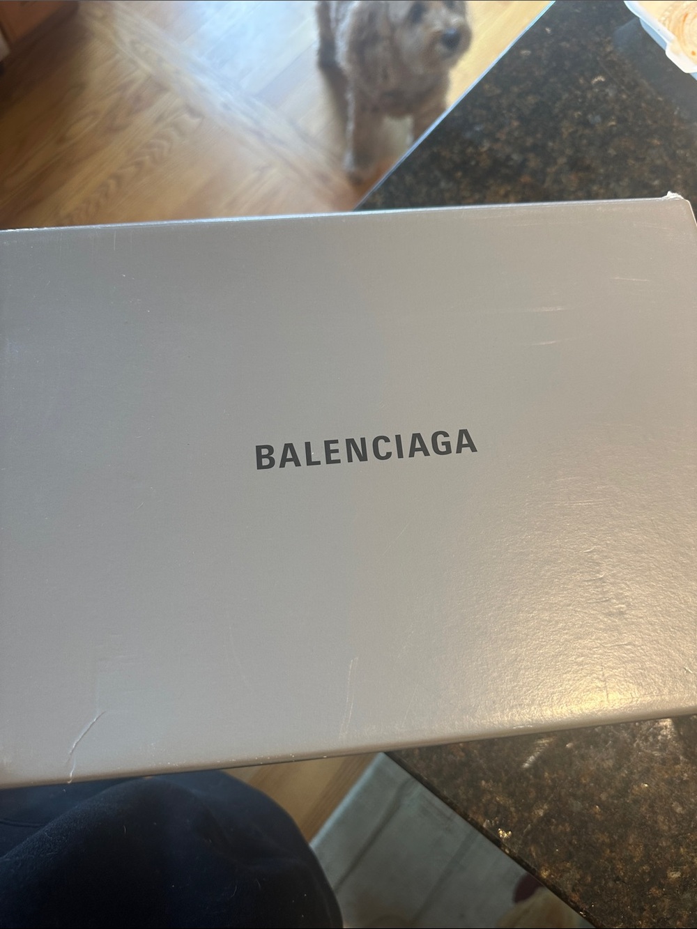Balenciaga speed 2.0